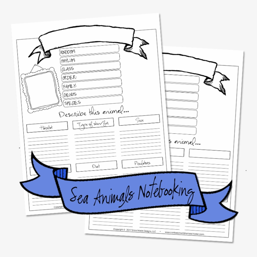 Seaanimals Notebooking4 - Document, transparent png #3854929