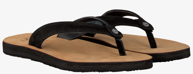 Zwarte Ugg Slippers Tawney - Flip-flops, transparent png #3855030
