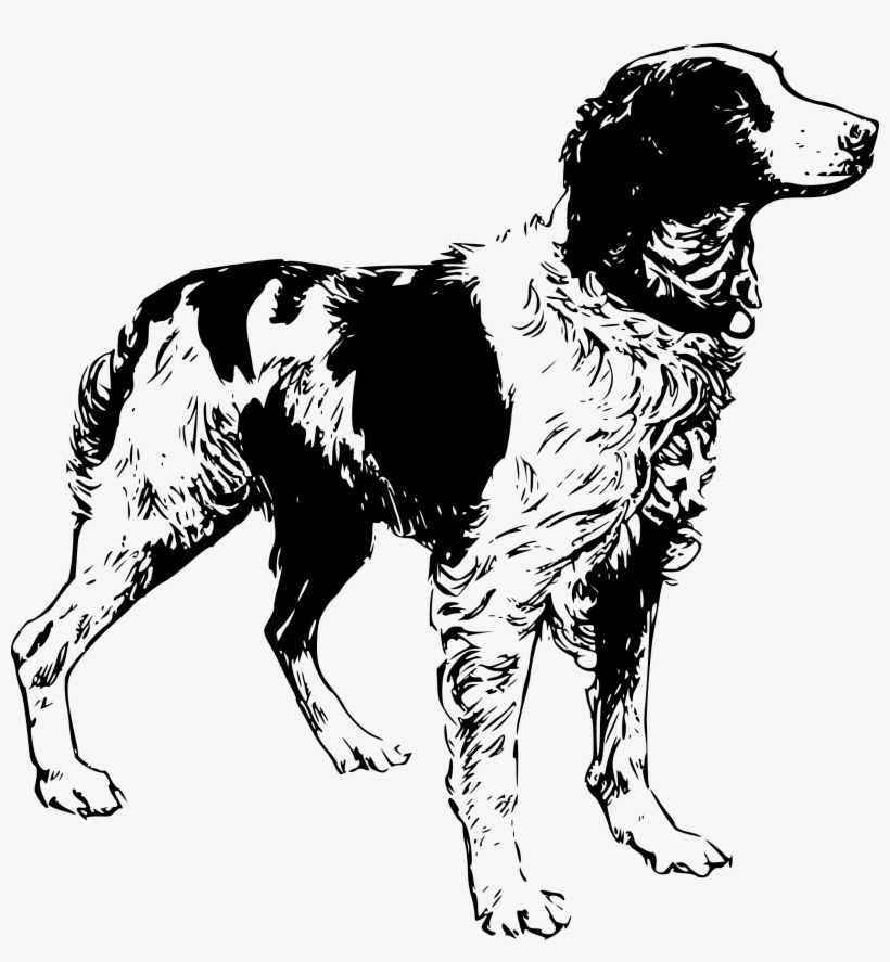 Big Image - Brittany Spaniel Line Art, transparent png #3855348