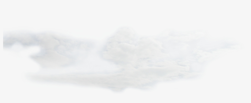 Milestoneshistorique - Tree, transparent png #3855543