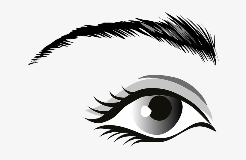 Eyebrow Extensions Are A Hot New Emerging Trend - Eye Brow Clip Art, transparent png #3855895