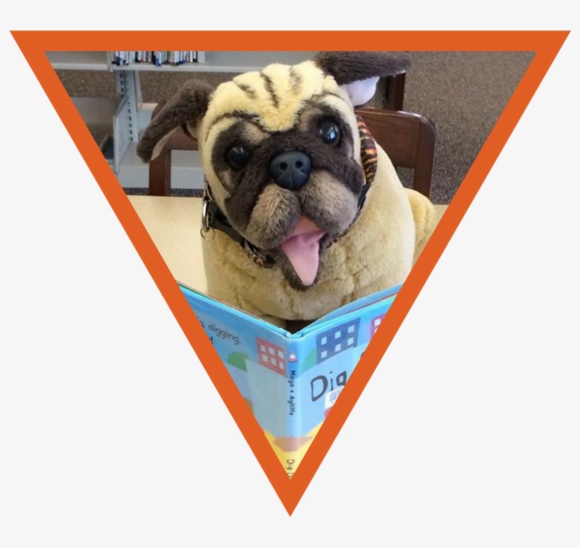 From Storytime To Steam, Summer Reading Programs To - Whitefish Bay Public Library, transparent png #3856115