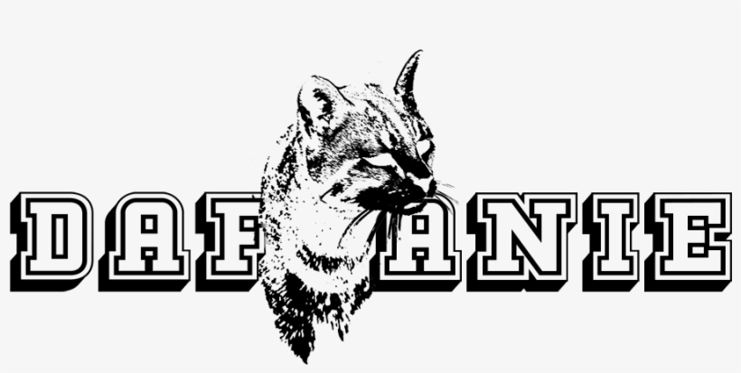 Theme Credit - Halloween, transparent png #3856329