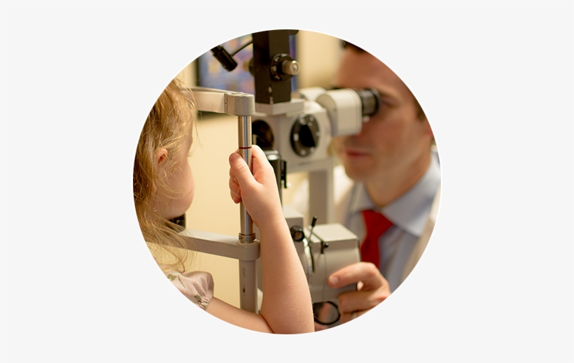 The Eye Doctor Of Tampa And Trinity - Tampa, transparent png #3856955