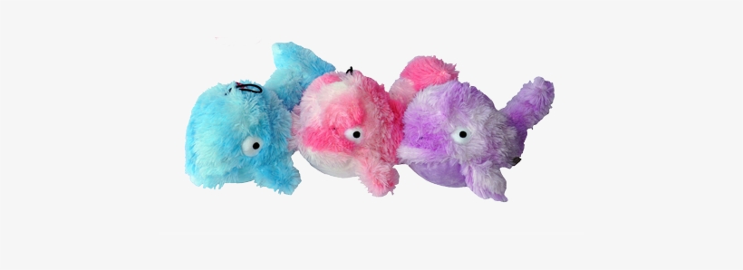 Gor Reef Baby Whale - Dog Toy, transparent png #3857206
