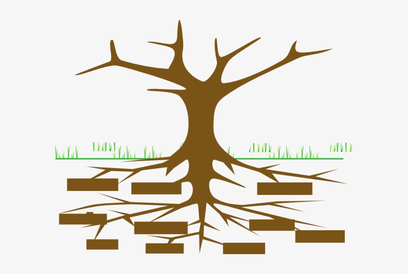 Tree Clip Art - Galileo's Family Tree, transparent png #3857231