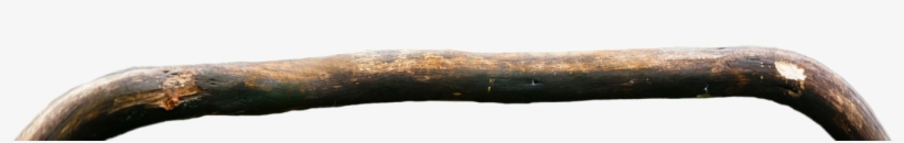 Rama De Loro - Wood, transparent png #3857487