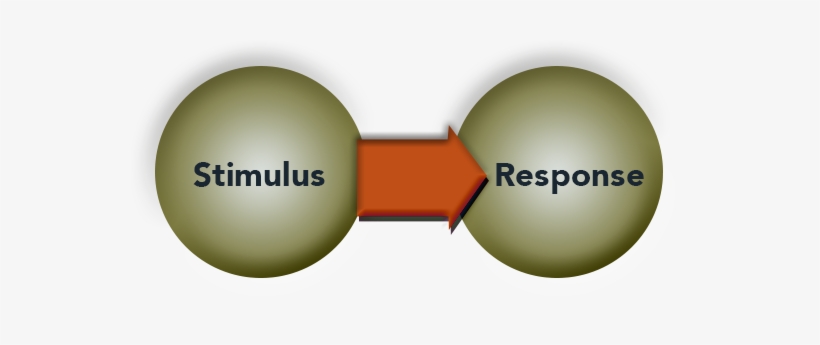 Stimulus Response “ - Stimulus–response Model, transparent png #3857651