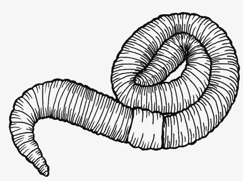 Drawing, transparent png #3858070