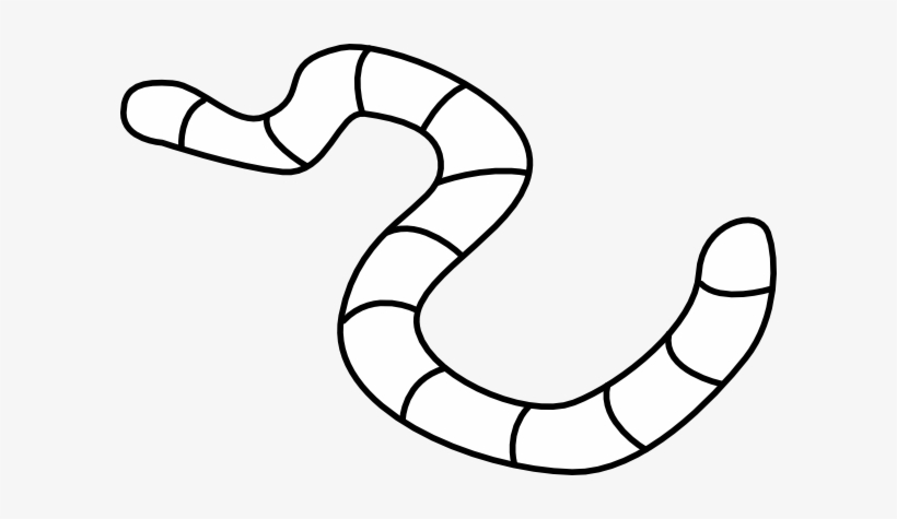 Small - Outline Of A Worm, transparent png #3858244