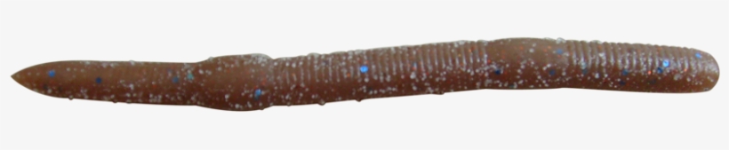 Earthworm, transparent png #3858480