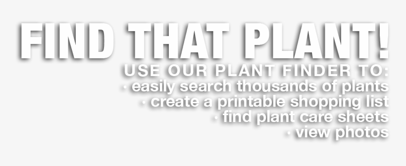 Paper, transparent png #3858821