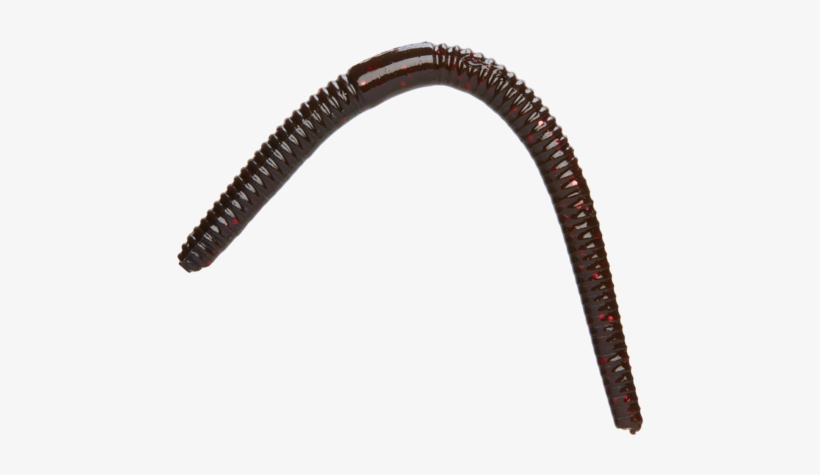 Fishing Physics Worm - Wat Tham Prathun, transparent png #3858953