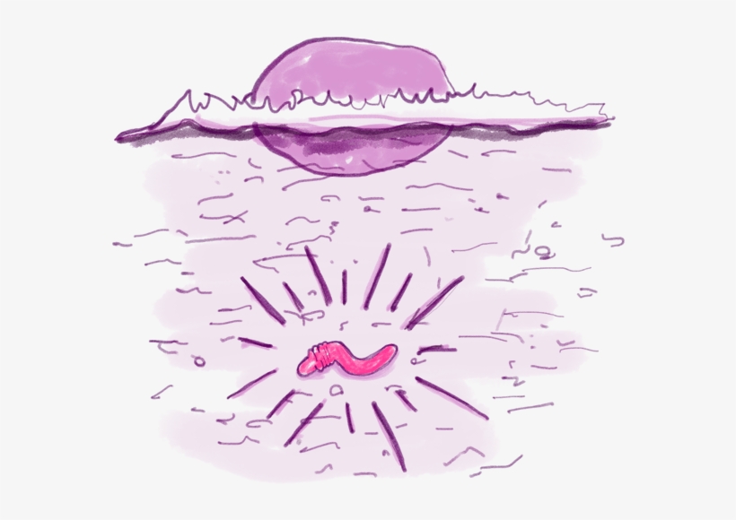 Earthworm, transparent png #3859173