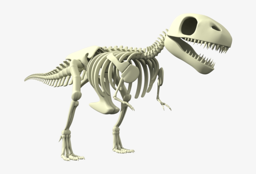 28 Jul - Tyrannosaurus, transparent png #3859961