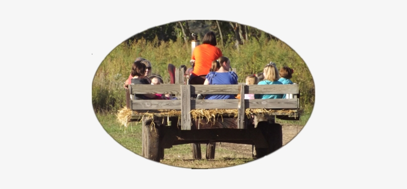 Thursdays , Friday (noon - Post Family Farm Hay Ride, transparent png #3860511