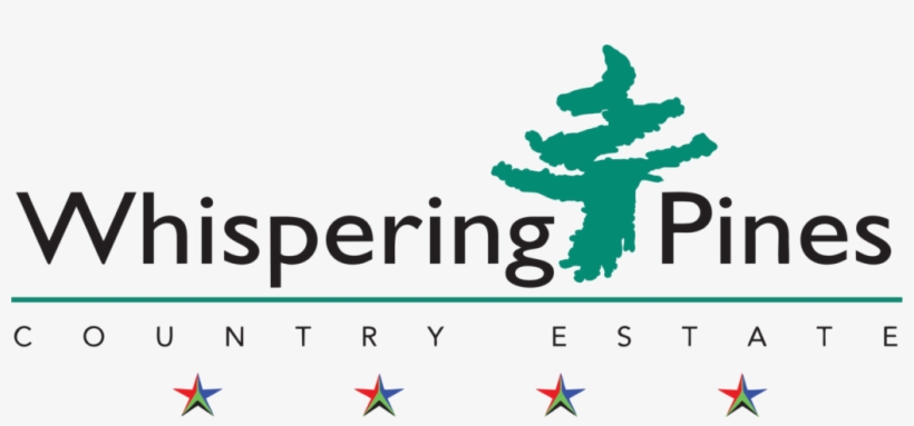Graphic Design, transparent png #3861024