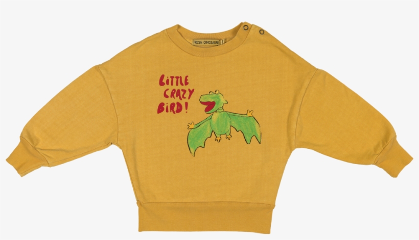 Fresh Dinosaurs Baby Sweatshirt Crazy Bird - Sweater, transparent png #3862656
