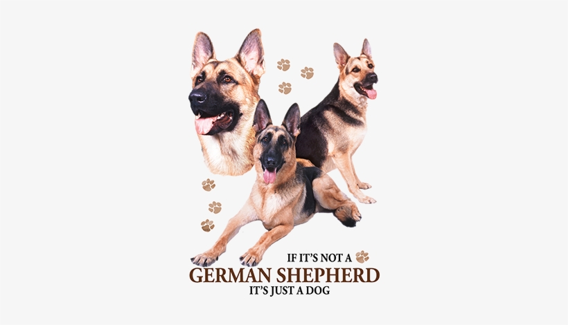 German Shepherd - T-shirt, transparent png #3863038