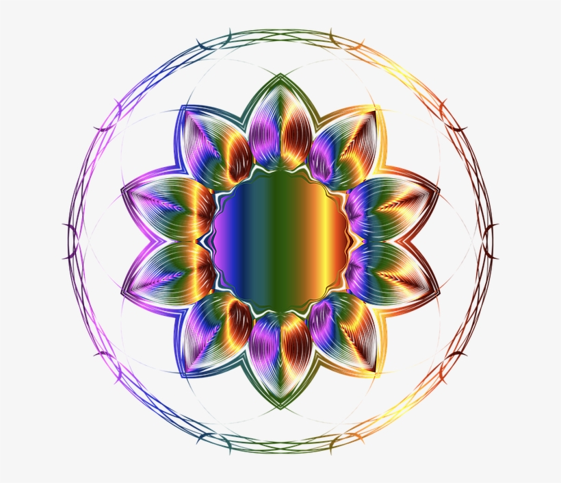 Freetoedit Sticker Flower Wire Barbed-wire Barbedwire - Clip Art, transparent png #3863039