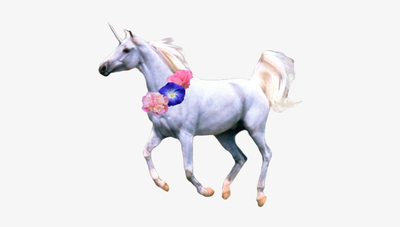 Free Icons Png - Flower Unicorn Transparent, transparent png #3863392