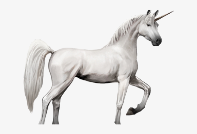 Unicorn Png Transparent Images - Horse With Wings Png, transparent png #3863421