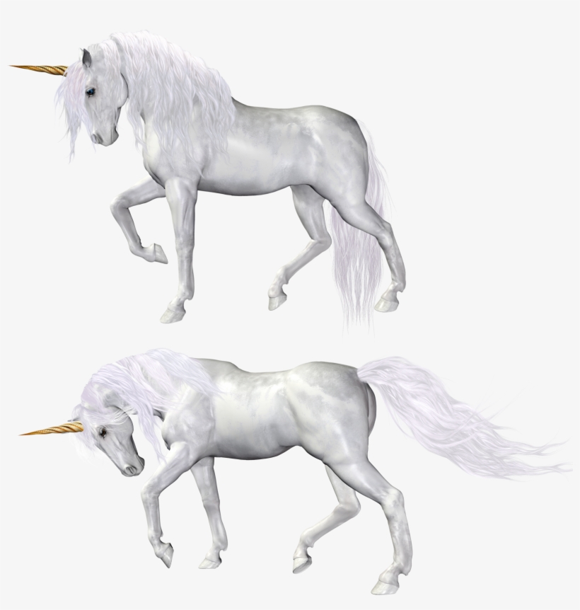 Unicorn, transparent png #3863483