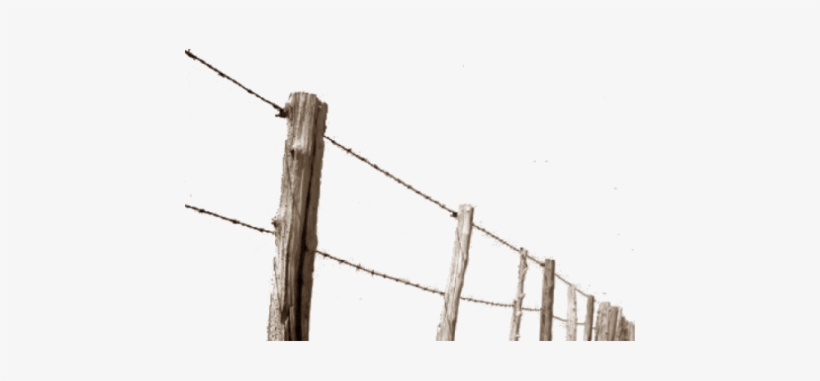 Barbed Wire Fence Png - Fence, transparent png #3863503