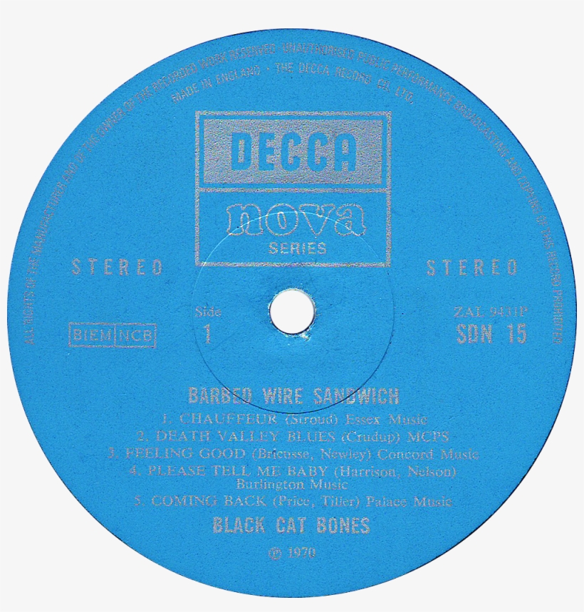 Barbed Wire Sandwich - Berenstain Bears Keep Your Cool Ball, transparent png #3863595