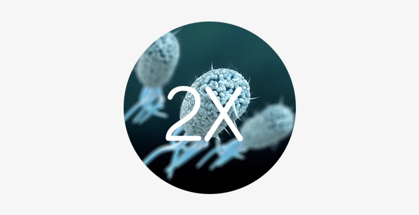 Did You Know - Crescent, transparent png #3863671