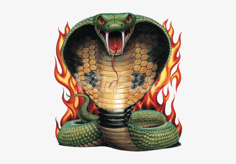 Coiled Cobra With Flames - Coiled Cobra, transparent png #3863702