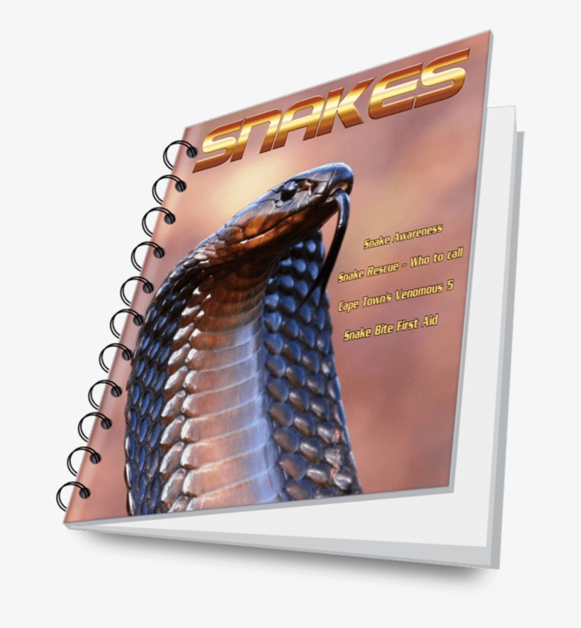 Cape Town's Most Venomous Snakes, Snakebite Emergency, - Burmese Python, transparent png #3863776