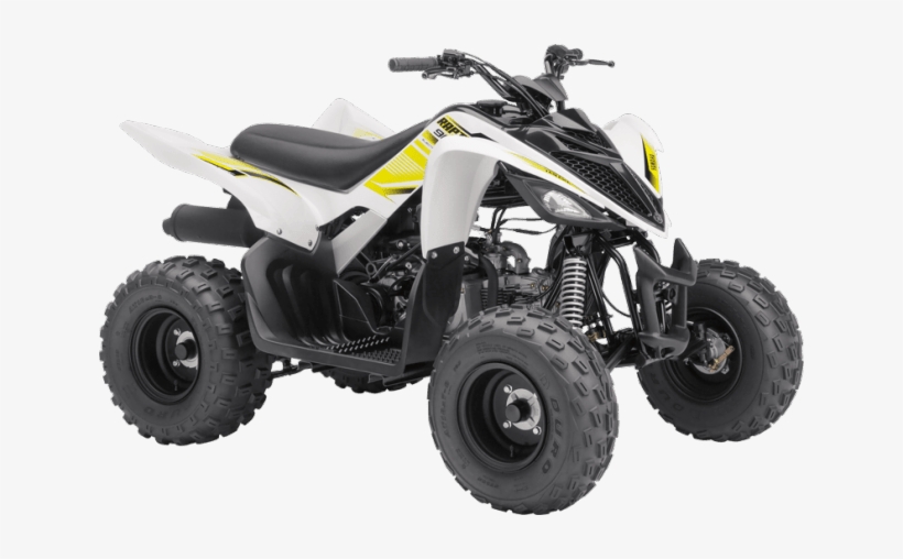 2017 Yamaha Raptor 90 2017 Yamaha Raptor 90 - Raptor 90 2018, transparent png #3864043