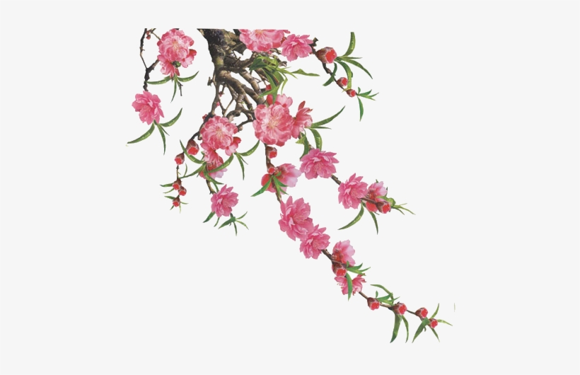 Decal dán tường cành mai vàng Decal Mỹ BINBIN DM01  Giá Sendo khuyến mãi  215000đ  Mua ngay  Tư vấn mua sắm  tiêu dùng trực tuyến Bigomart