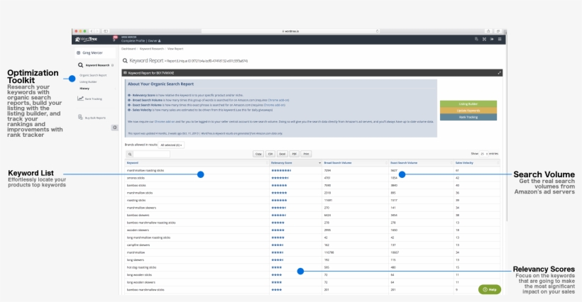 Increase Sales On Amazon Using Wordtree - Amazon.com, transparent png #3865617