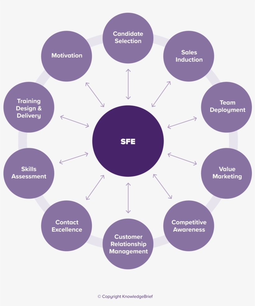 Sales Force Effectiveness - Internationalisation Of The Curriculum, transparent png #3865812