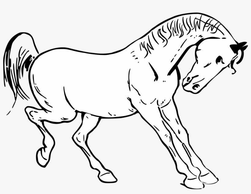 File Horse Clipart Svg Wikimedia Commons Regarding - Custom White Horse Shower Curtain, transparent png #3865889