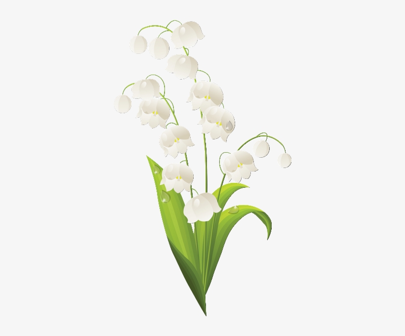 1er Mai - Lily Of The Valley Outline, transparent png #3866290