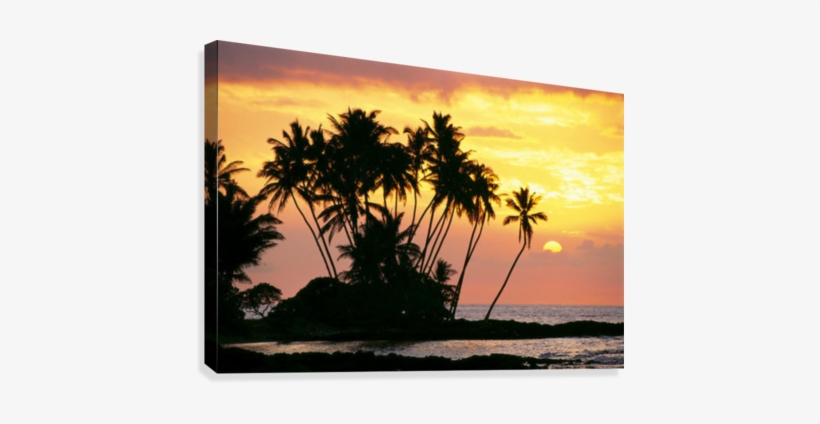 Hawaii, Big Island, Wailua Bay, View Of Palm Trees - Great Big Canvas Chris Abraham Premium Thick-wrap Canvas, transparent png #3866749
