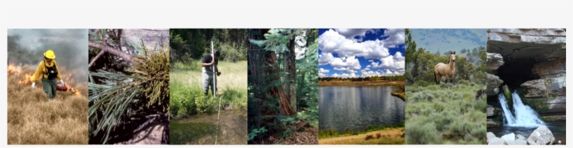 Internships In Natural Resources - Blanchard Springs Caverns, transparent png #3867965