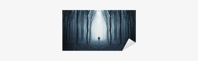 Art Print: Photoinc Studio's Dark Woods, 26x50in., transparent png #3868235