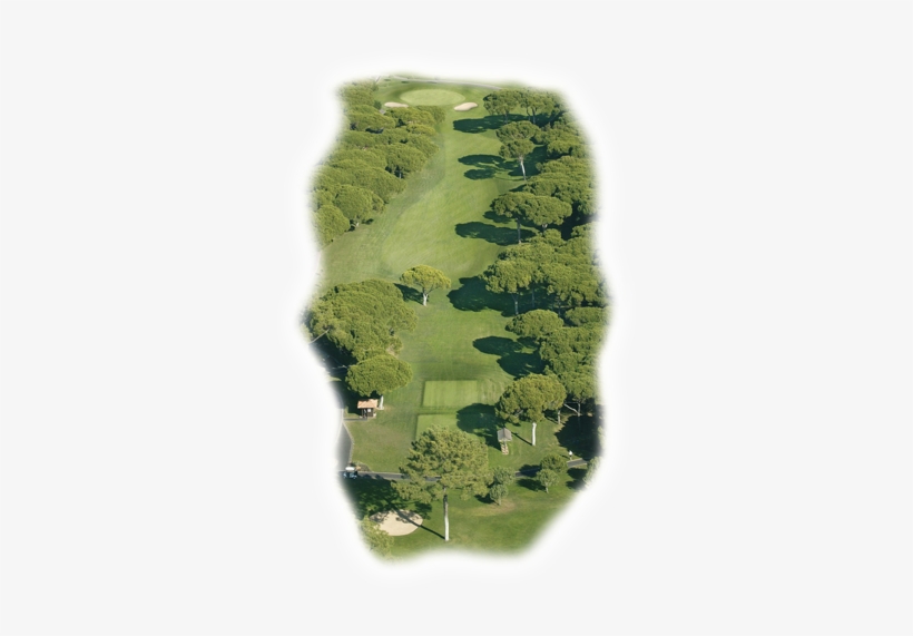 Discover The Vilamoura Old Course Golf Club - Vilamoura, transparent png #3868280