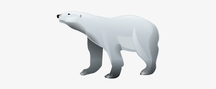 Polar Bear Png Hd - Polar Bear Illustration Png, transparent png #3868406
