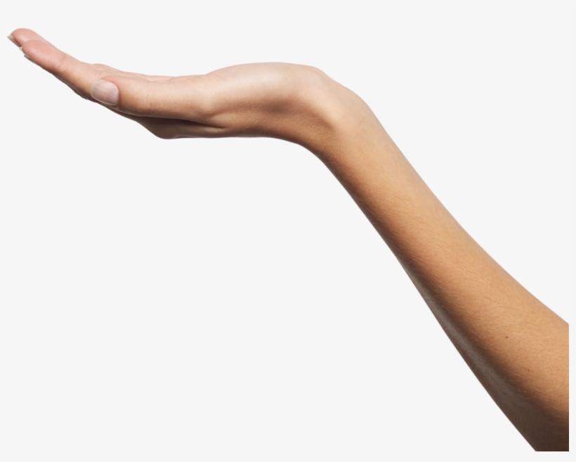 Human Hand Png - Hand Png, transparent png #3868501