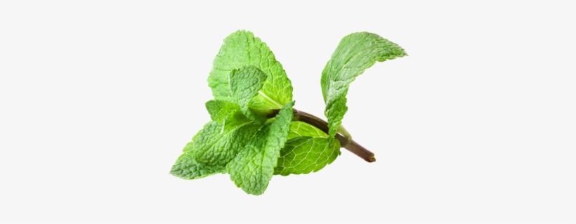 Mint Hd - Free Mint, transparent png #3868645