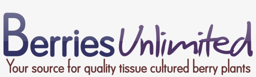 Business, transparent png #3869466