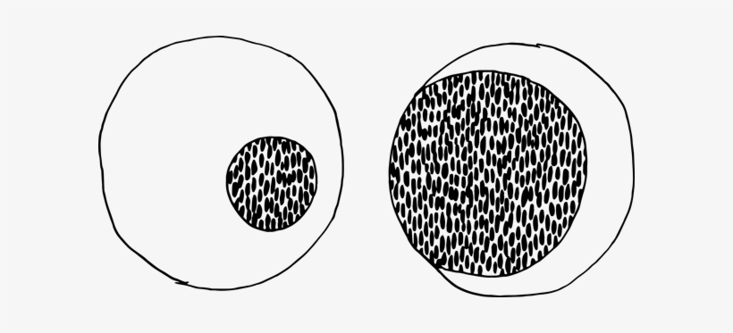 Googley Eyes Png, transparent png #3870002