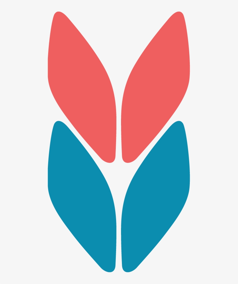 Fancywork Yarn Shop, transparent png #3870381