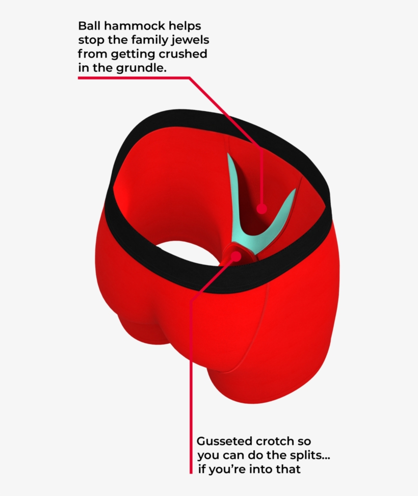 The Red Nose Rod - The Giant Panda Ball Hammock Boxer Briefs | Size L, transparent png #3870773