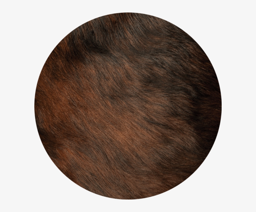 Red Brindle - Brindle, transparent png #3870778